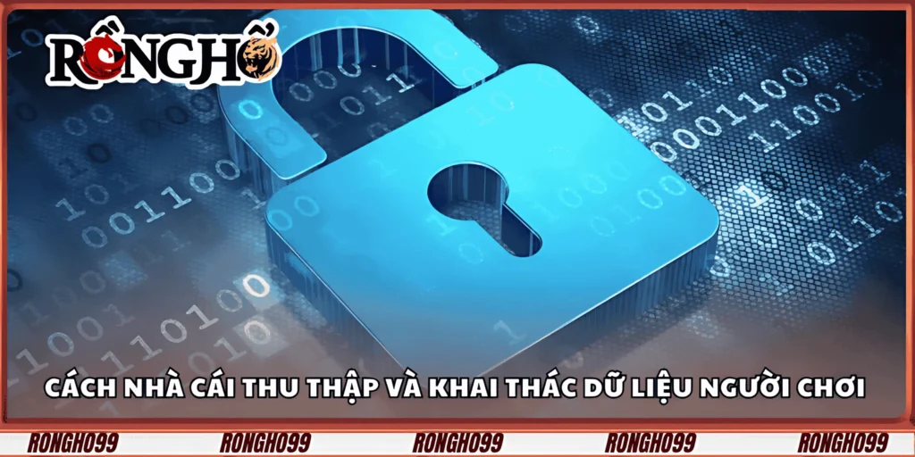 cach-nha-cai-thu-thap-va-khai-thac-du-lieu-nguoi-choi
