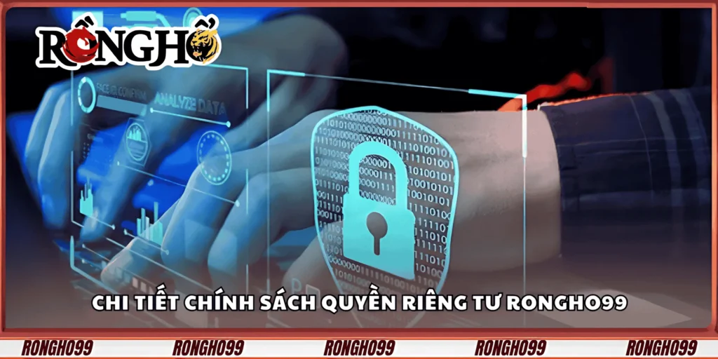 chi-tiet-chinh-sach-quyen-rieng-tu-rongho99