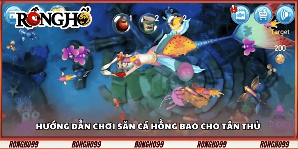 huong-dan-choi-san-ca-hong-bao-cho-tan-thu