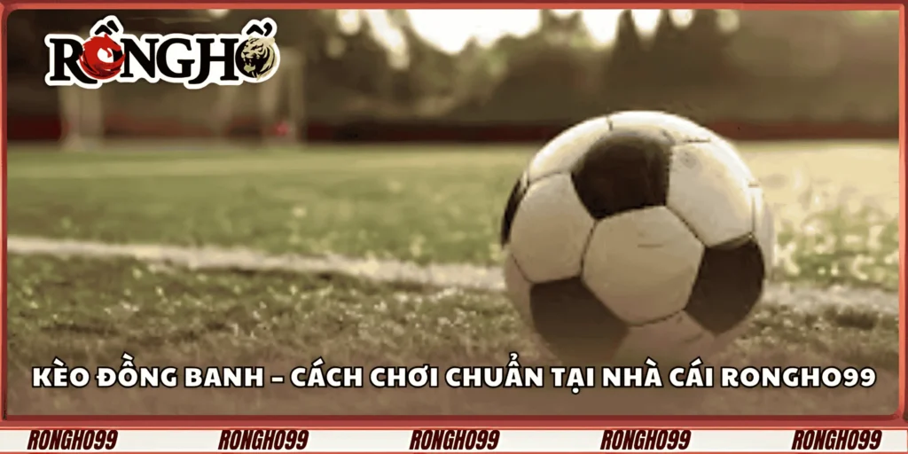 keo-dong-banh-–-cach-choi-chuan-tai-nha-cai-rongho99