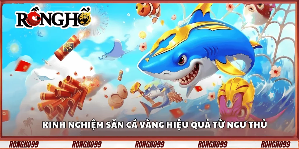 kinh-nghiem-san-ca-vang-hieu-qua-tu-ngu-thu