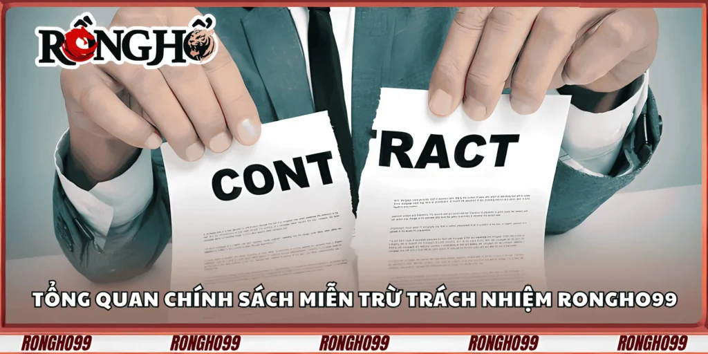 tong-quan-chinh-sach-mien-tru-trach-nhiem-rongho99